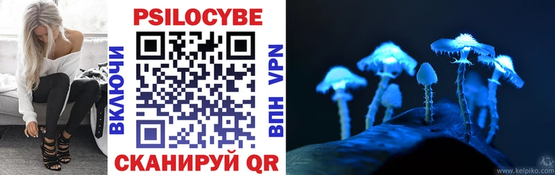 Псилоцибиновые грибы прущие грибы  Купить  Олонец 